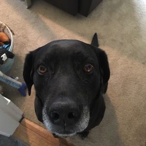 Meet your Posher, Jade